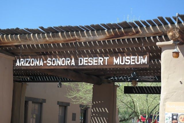 Sonoran Desert Museum